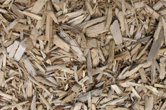 biomass boilers Balmalloch