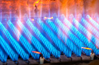 Balmalloch gas fired boilers